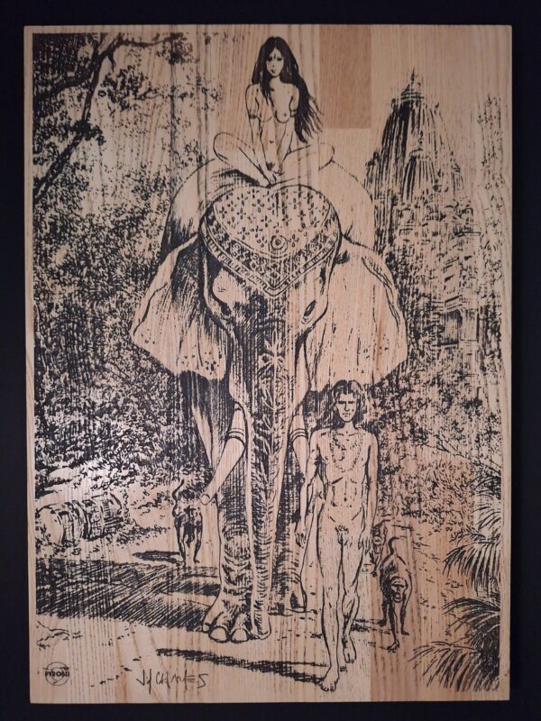 India Dreams par Jean-François Charles