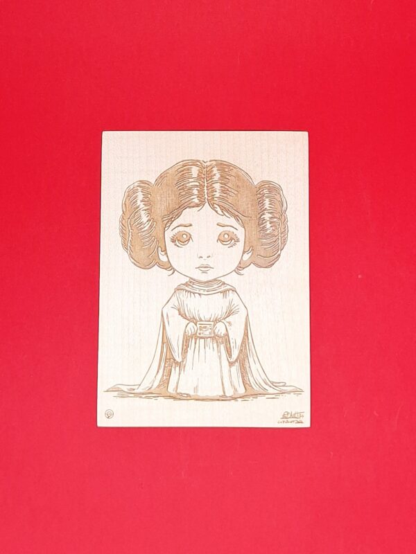 STAR WARS, Princesse Leia